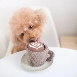 ☕ LATTE POP – Le jouet café chic qui réveille votre chien